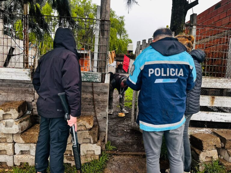 Maltrato animal: rescataron a una cachorra en mal estado de salud y con parásitos