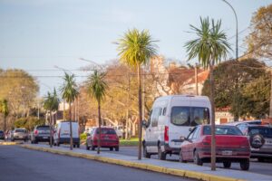 Avanza el Plan Forestar con reparación integral de los canteros en importante avenida