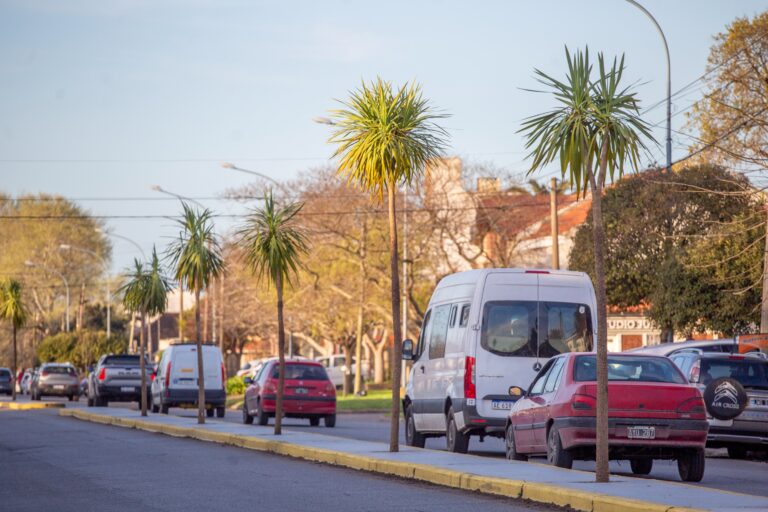 Avanza el Plan Forestar con reparación integral de los canteros en importante avenida