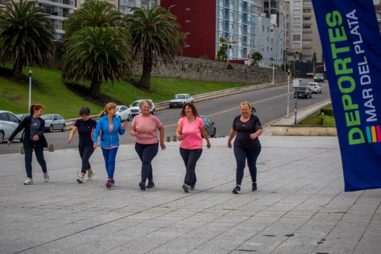 ¿Cómo sumarse al programa Punto Activo?