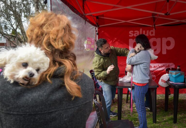 ¿Cómo acceder a los servicios gratuitos que ofrece el quirófano móvil para animales?