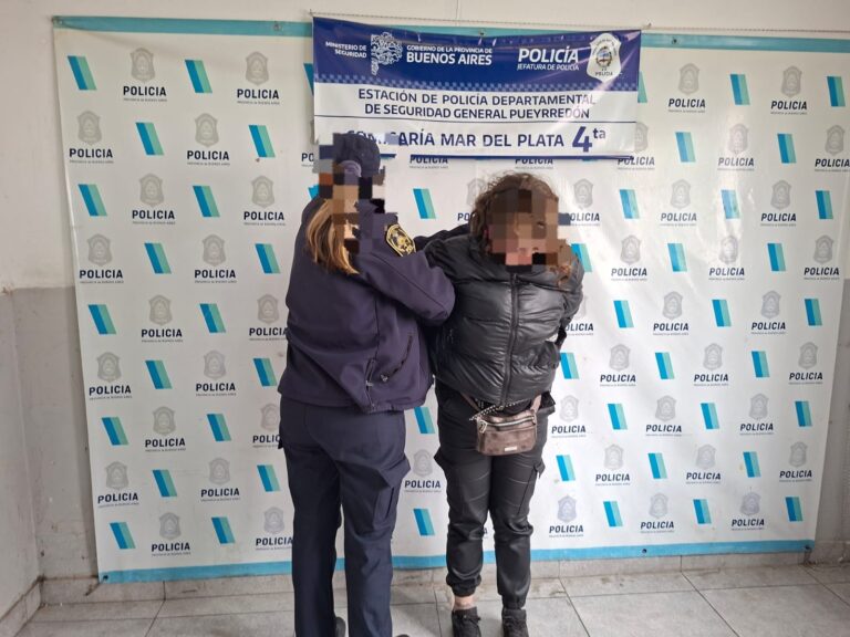 No la dejaron llevarse mercadería y destrozó el local arrojando baldosas
