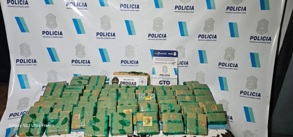Video: mega allanamiento en Mar del Plata y secuestro de panes de hojas de coca, municiones y aves protegidas